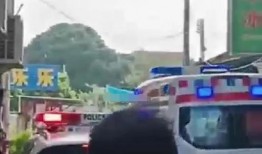 开平爆料车祸最新消息,事故详情及伤亡情况公布